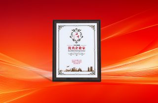 攀高向新 共創卓越 | 陳昊總經理榮獲海曙區“優秀企業家”稱號