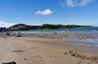 遠離喧囂 回歸自然 | 花邊業(yè)務四部衢山島團建